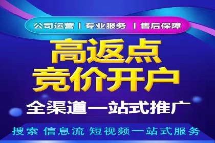 案例解读：SEM代理助力电商销量翻倍